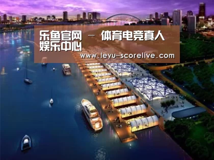 案例展示八