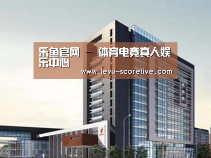 案例展示七