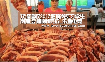双流建校2017级顶岗实习学生岗前培训顺利完成_乐鱼电竞赛事(图3) 乐鱼电竞APP