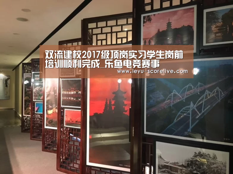 双流建校2017级顶岗实习学生岗前培训顺利完成_乐鱼电竞赛事(图2) 乐鱼娱乐平台