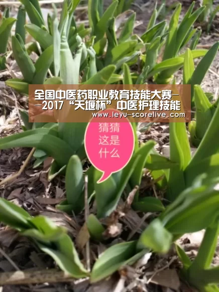 全国中医药职业教育技能大赛--2017“天堰杯”中医护理技能大赛在广西举行“乐鱼娱乐平台”(图1) 乐鱼电竞赛事